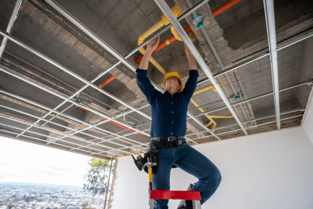 Best Local Plumber Services  in Caryville, TN